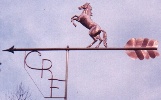 Horse & Logo